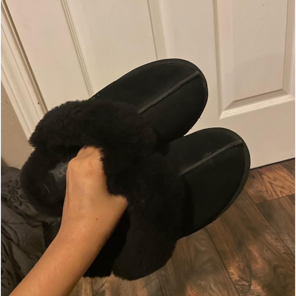 Black Disquette uggs